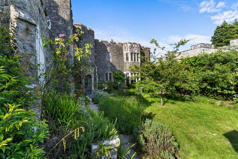 The Vegan Castle 88.jpeg