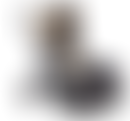 The UPPAbaby Vista Ultimate Stroller System