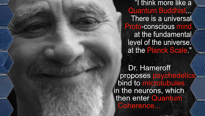 Psychedelics, Microtubules and Quantum Consciousness
