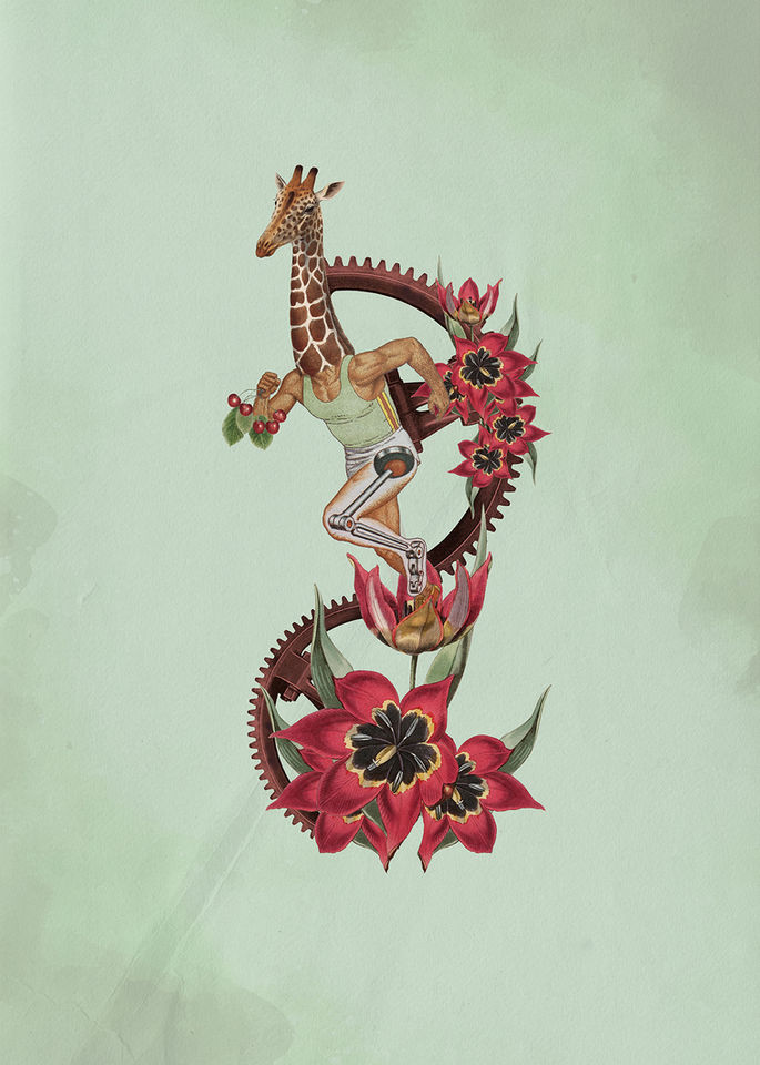 collage mane fuentealba