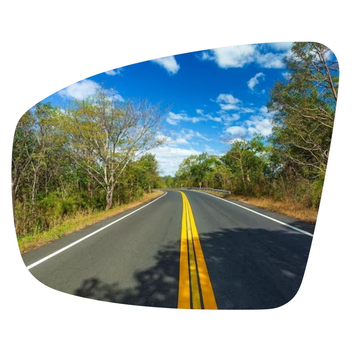 Nissan Pathfinder 2009-2015  espejo retrovisor Alternativo