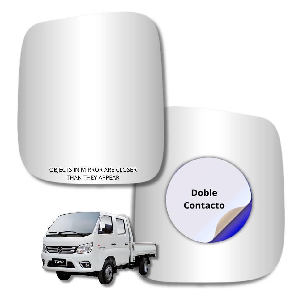 Foton TM3 2022 Alternativo