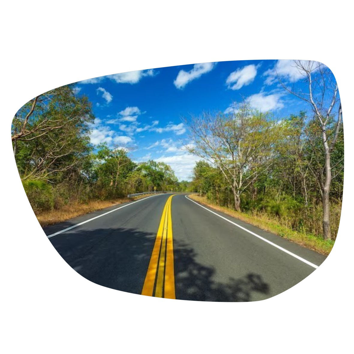 Peugeot 301 2014-2020  espejo retrovisor Alternativo