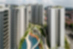 The Panorama