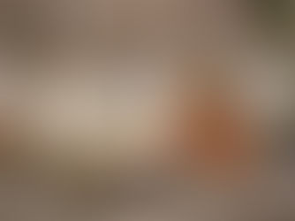 Cuidando dos seus móveis: um guia completo para mantê-los impecáveis