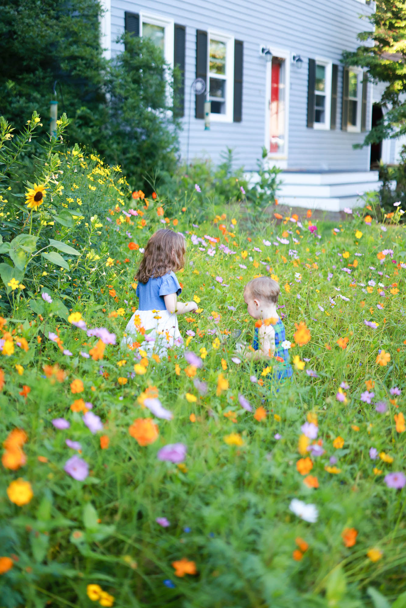 20240813-Lizotte-Meadow-6119