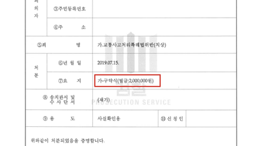 교통사고처리특례법 치상 벌금형