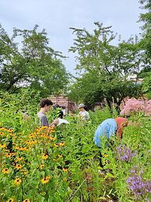 IMG_20240728_164428 (3)_edited.jpg