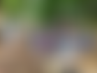 Growing Up with Caterpillars: Neil's Reflection