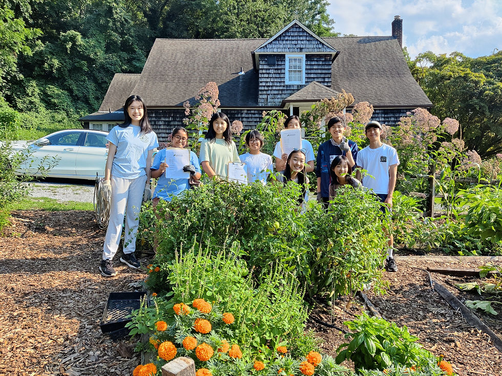 August 11 RTR session at the ReWild Garden @ Dodge with 17 eggs and 2 butterflies recorded for MLMP!
