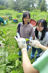 IMG_20240804_164332 (1)_edited.jpg