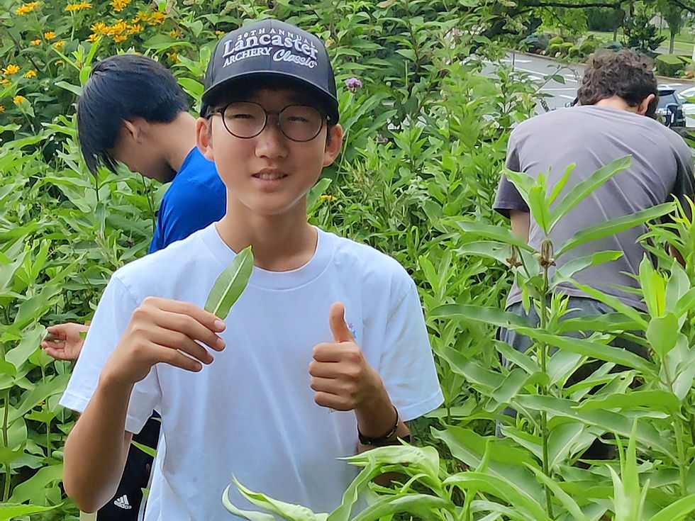 Discovering the Greatness in Small Creatures and Actions: Aaron's Reflection