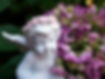 ange fleurs violets.jpg