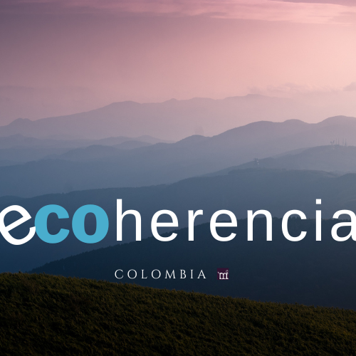 ecoherencia pancarta 1.png