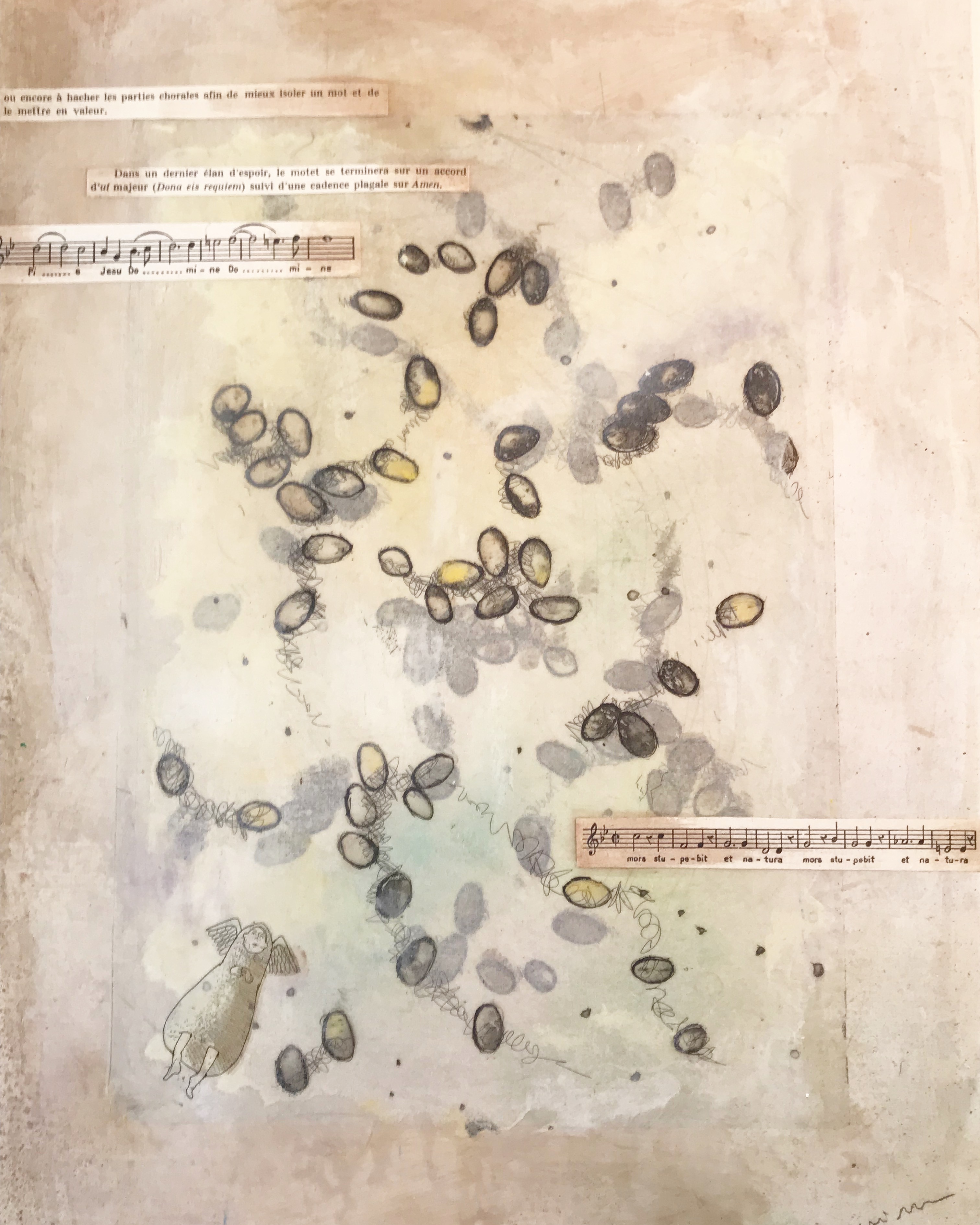 Unwritten law of the acorn