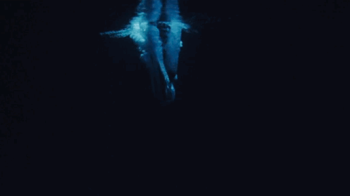 tumblr_295efdd8d23d3c291b4d72f667a159d7_