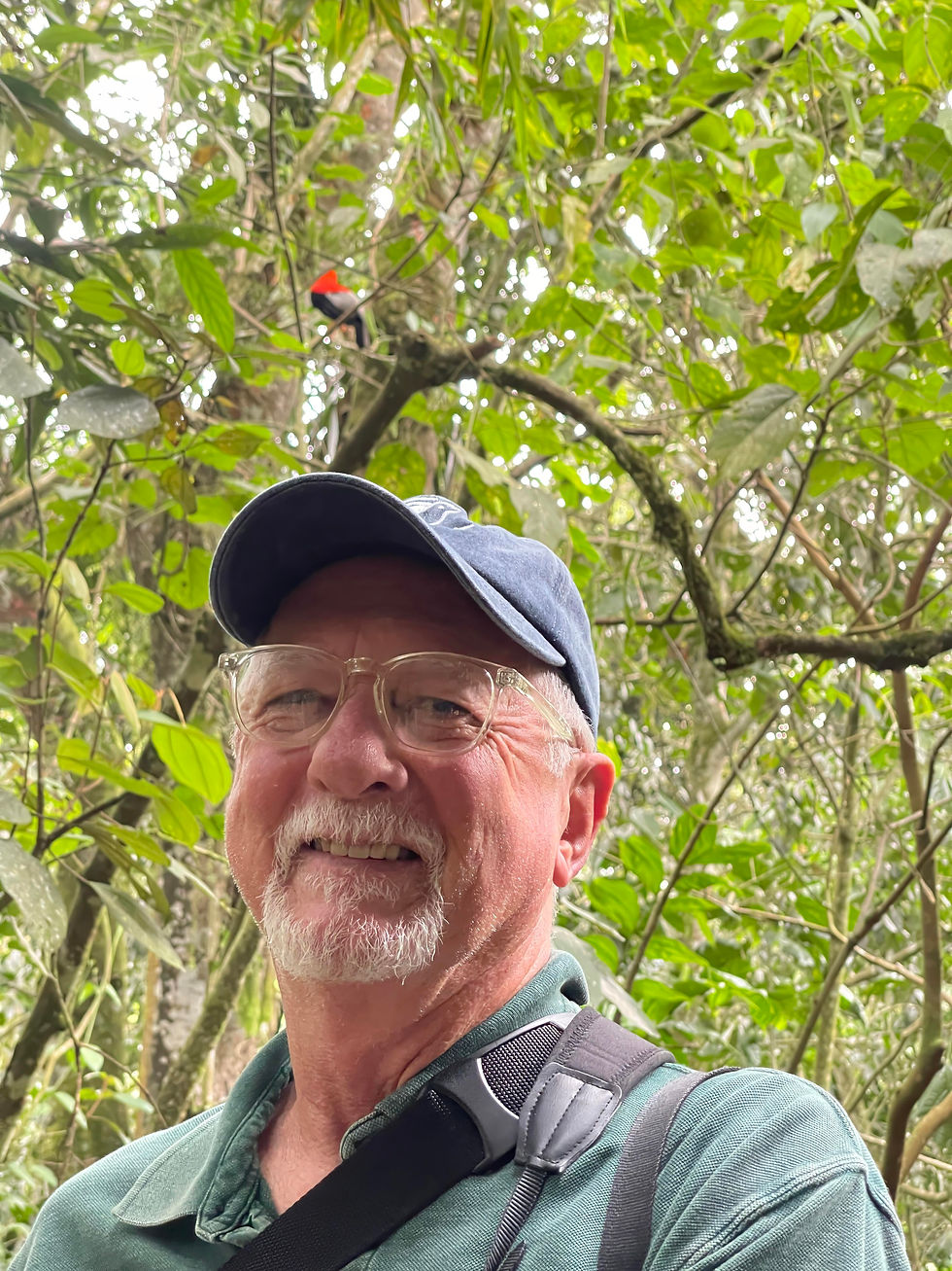 Tom with a Andean Cock of the Rock in the back