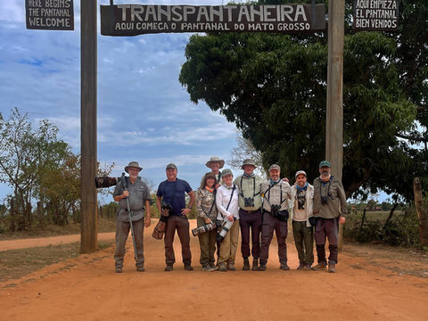 Brazil Wildlife Expedition: From Atlantic Forest Endemics to Pantanal Giants