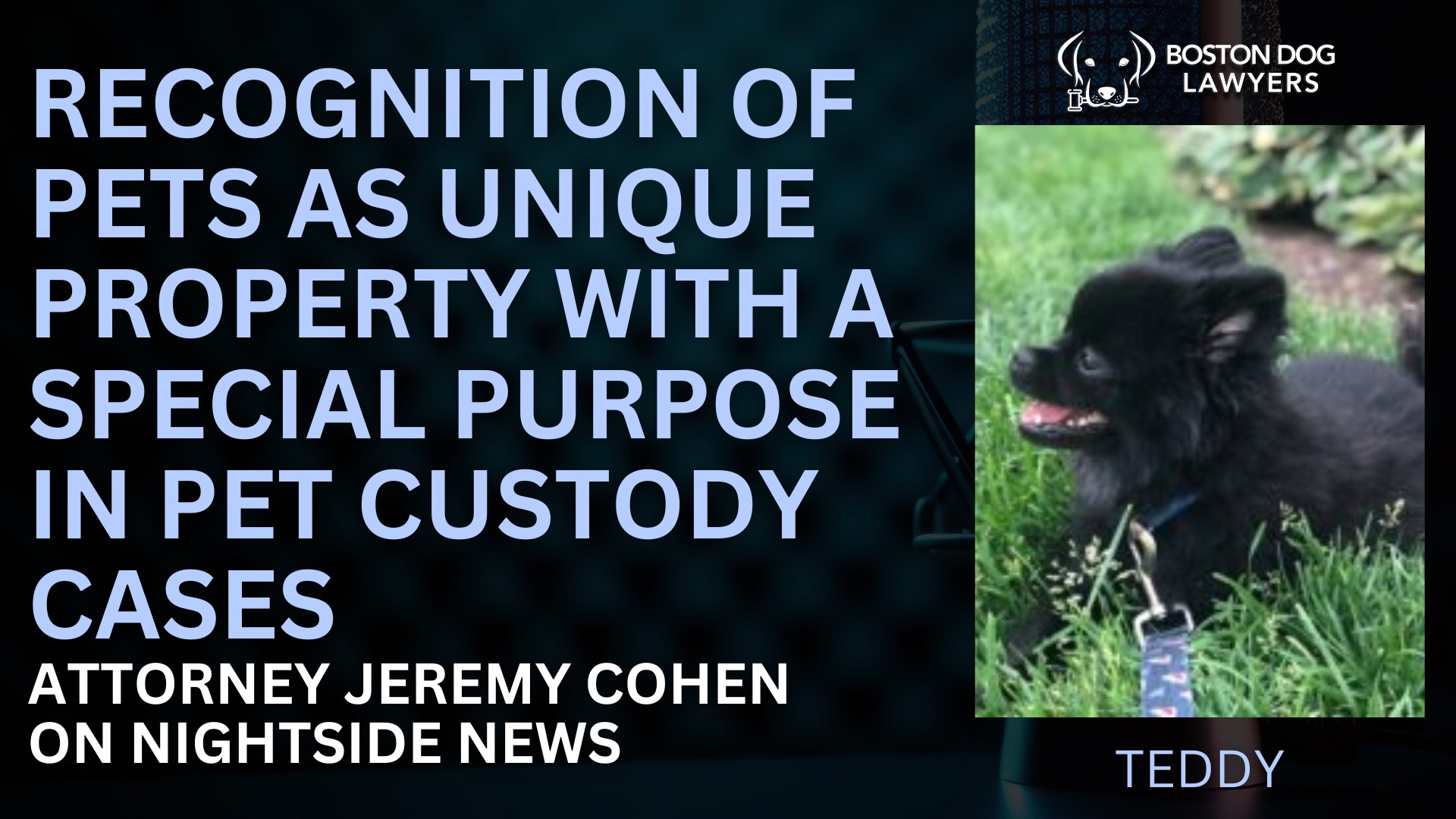 Recognition Of Pets As Unique Property With A Special Purpose In Pet Custody Cases Attorney