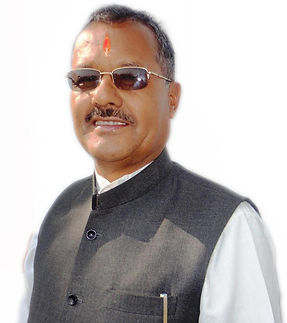 Laxman singh Lamgariya, Mukhya sanrakshk