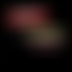 Sprawdzone sklepy z kartami Pokemon