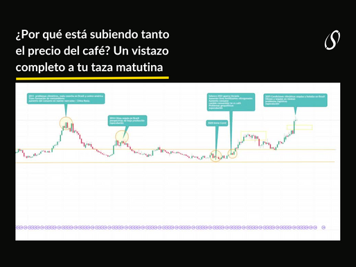 ¿Por qué está subiendo tanto el precio del café? Un vistazo completo a tu taza matutina