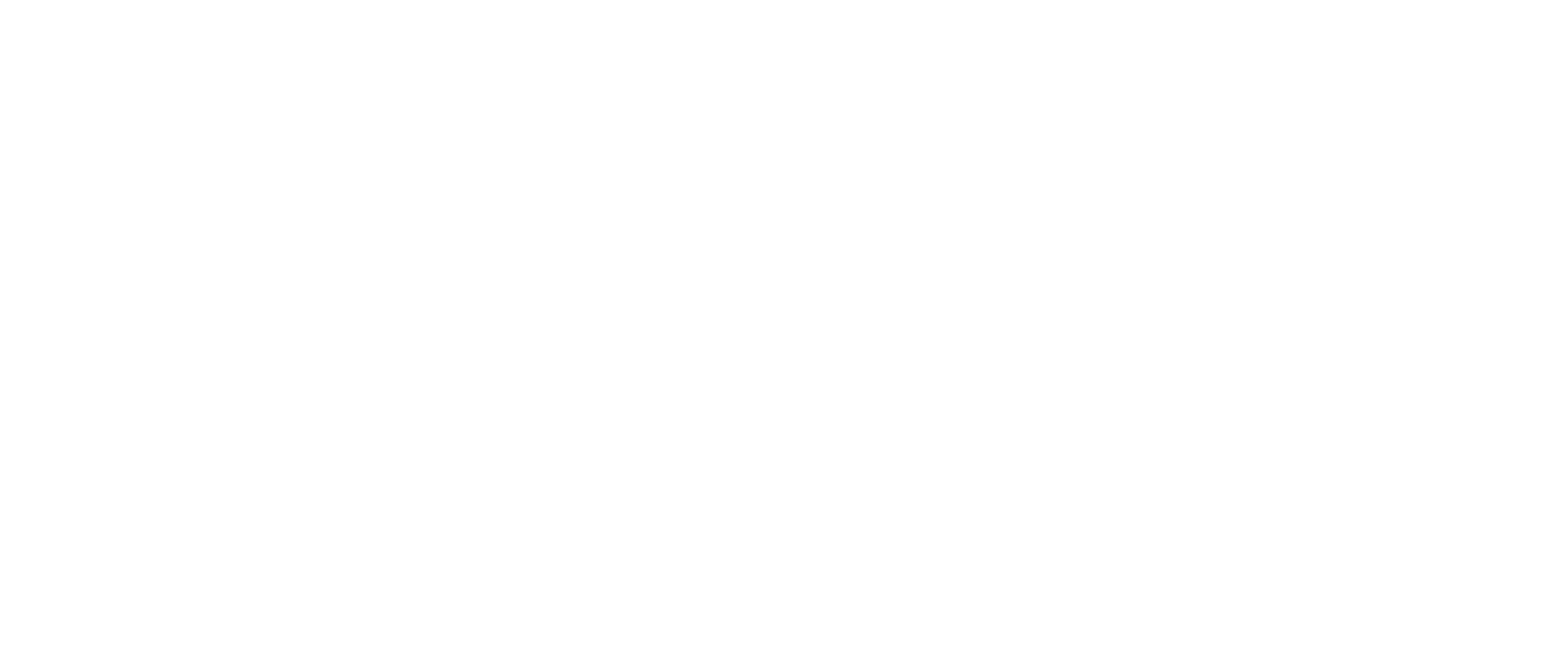 logo_steixner-weiss-rahmen.png