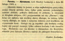 1905.Roczniki Obydwóch Zgromadzeń św. Wincentego a Paulo. Kraków, nr 3 -1905.jpg