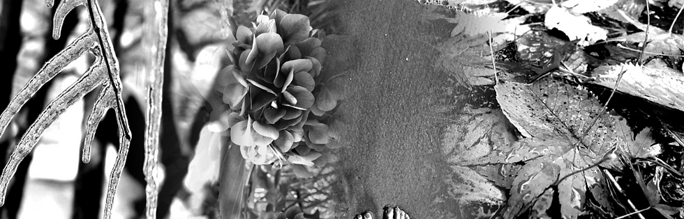 "Seasons" Booklet, pages 1-2 (Print design)