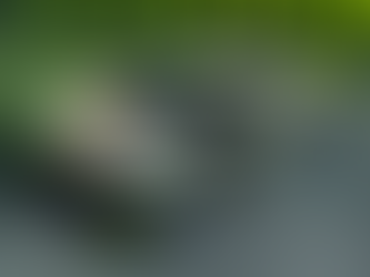 Peugeot e la strada verso il riscatto: analisi della 9X8 "Evo"