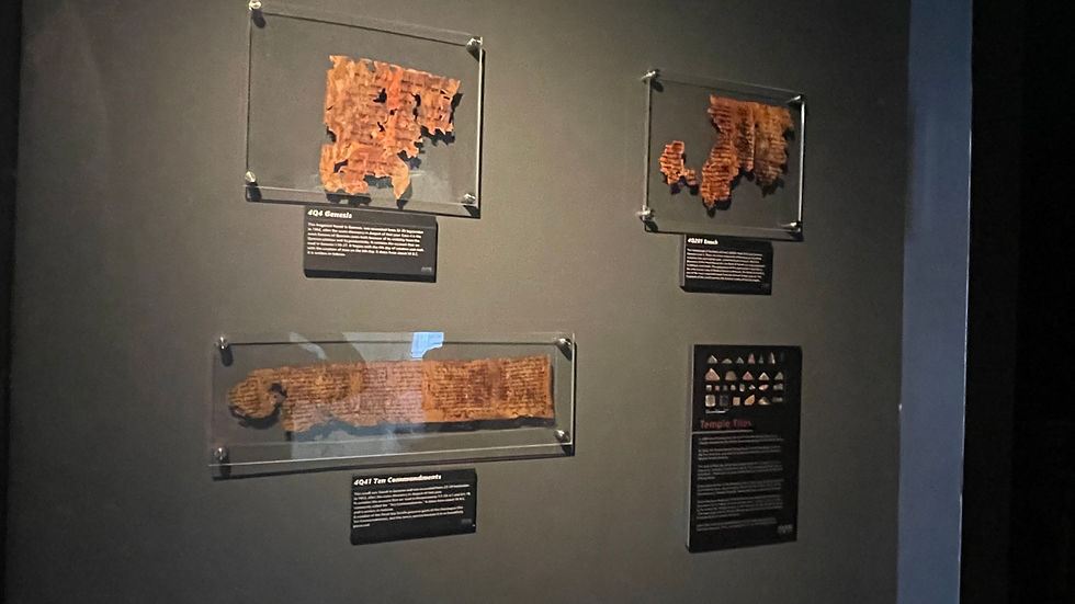 The Dead Sea Scroll Fragments from Cave 4 in The Flood Museum Collection