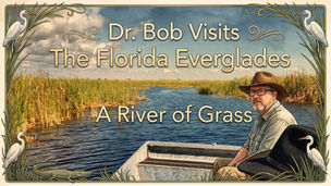 Dr. Bob Visits the Florida Everglades