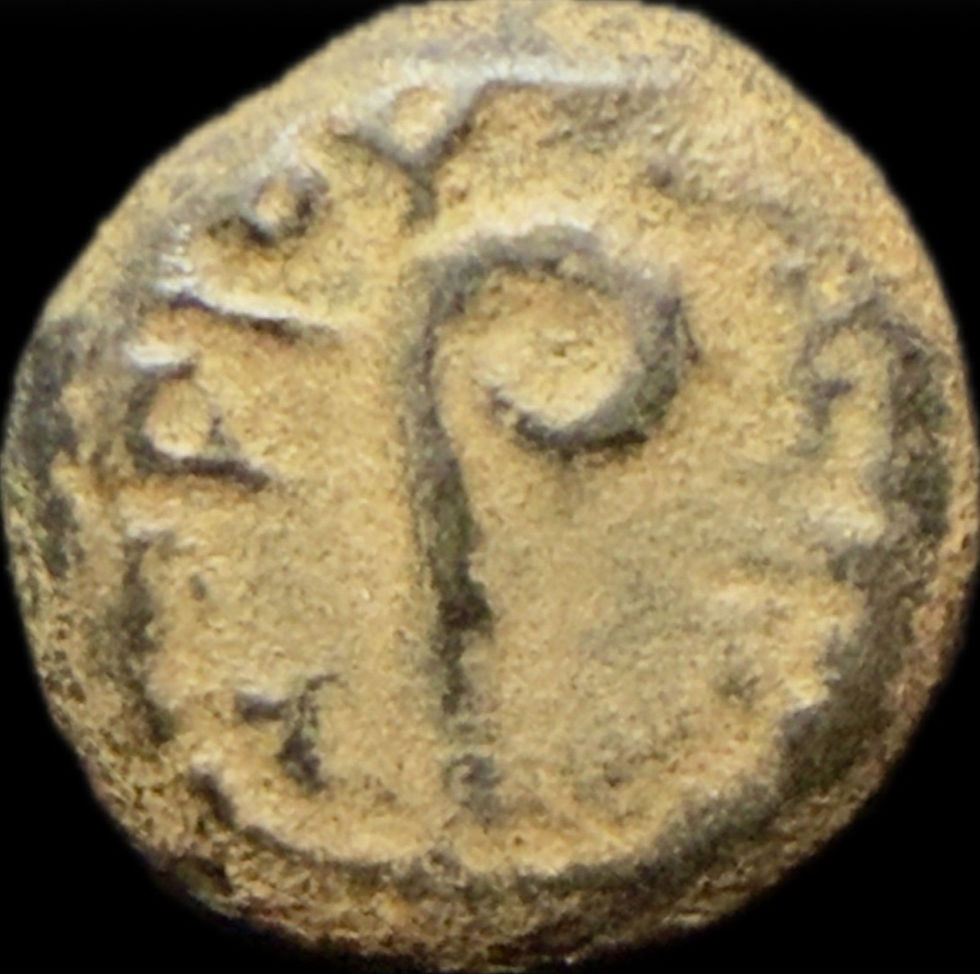 Pilate Coin in The Flood Museum Collection