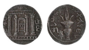 The Bar Kokhba Coin