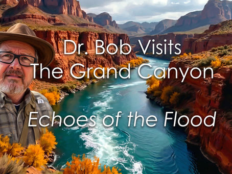 Dr. Bob Visits the Grand Canyon