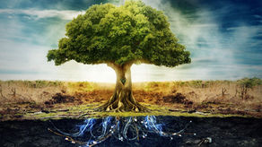 Death Through Adam, Life Through Christ