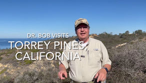 Dr. Bob Visits Torrey Pines