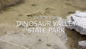 Dr. Bob Visits Dinosaur Valley State Park