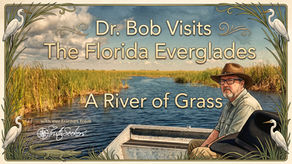 Dr. Bob Visits the Florida Everglades