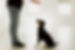 0I8A2525.jpg