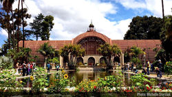 balboa-park-Michelle-Starsiak-sandiego