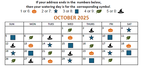 Screenshot 2025-09-24 082342.png