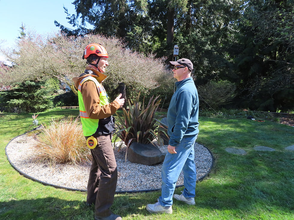 A professional arborist wearing high visibility vest and helmet talking to man in yard on sunny day