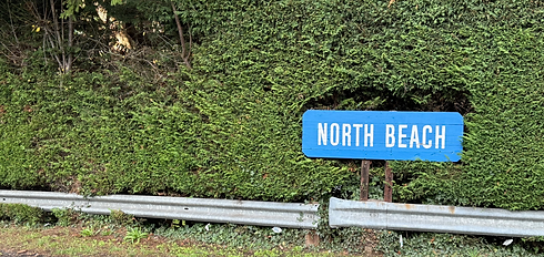 Neighborhood - Northwest.HEIC