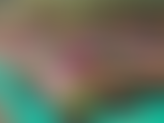 Finding the Right Pot for Plant Growth