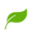 leaf-02.png