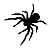 SPIDER.jpg