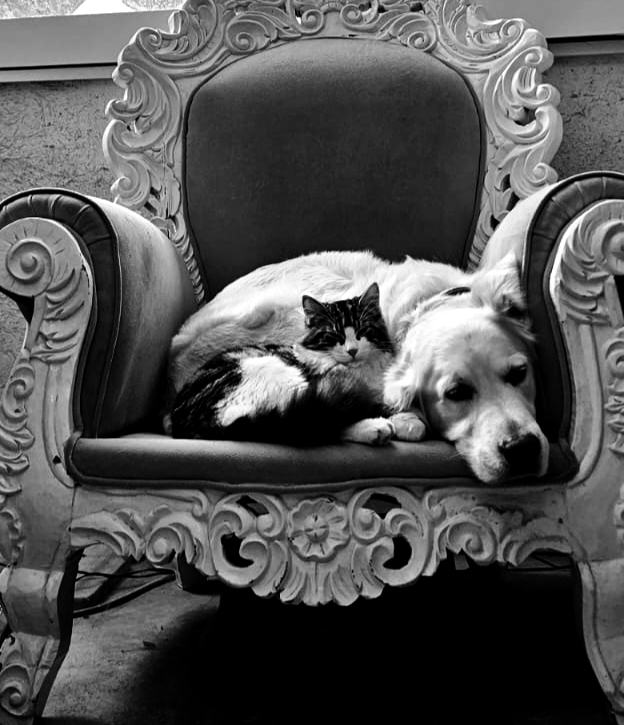 WhatsApp Görsel 2024-07-19 saat 17.55_edited.jpg