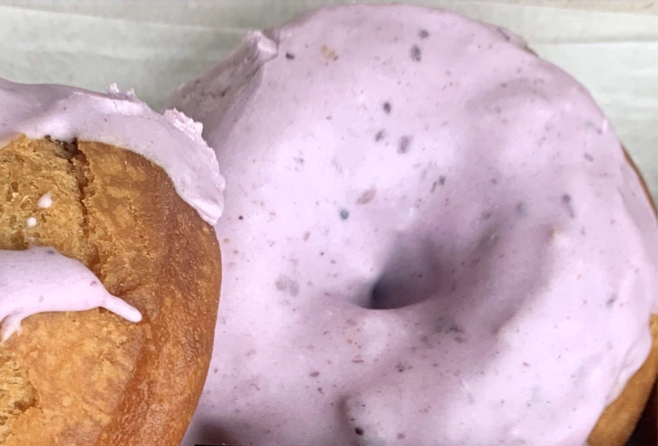 WILD MAINE BLUEBERRY