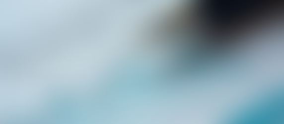 Maximize Returns with Unlisted Share Services